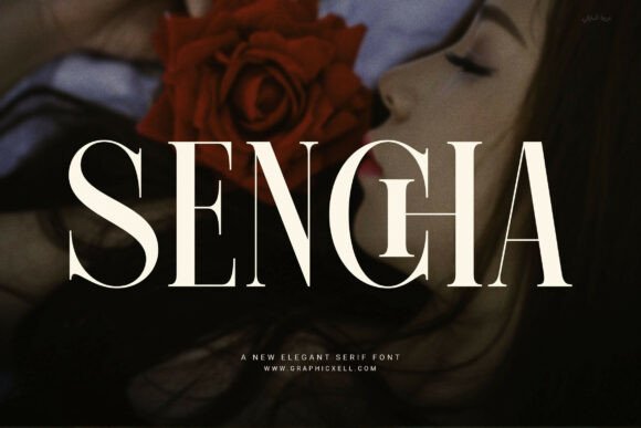 Sencha: A Serif Font That Elevates Brand Campaigns